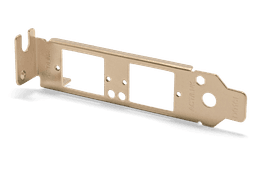 Dual Network Adapter Web